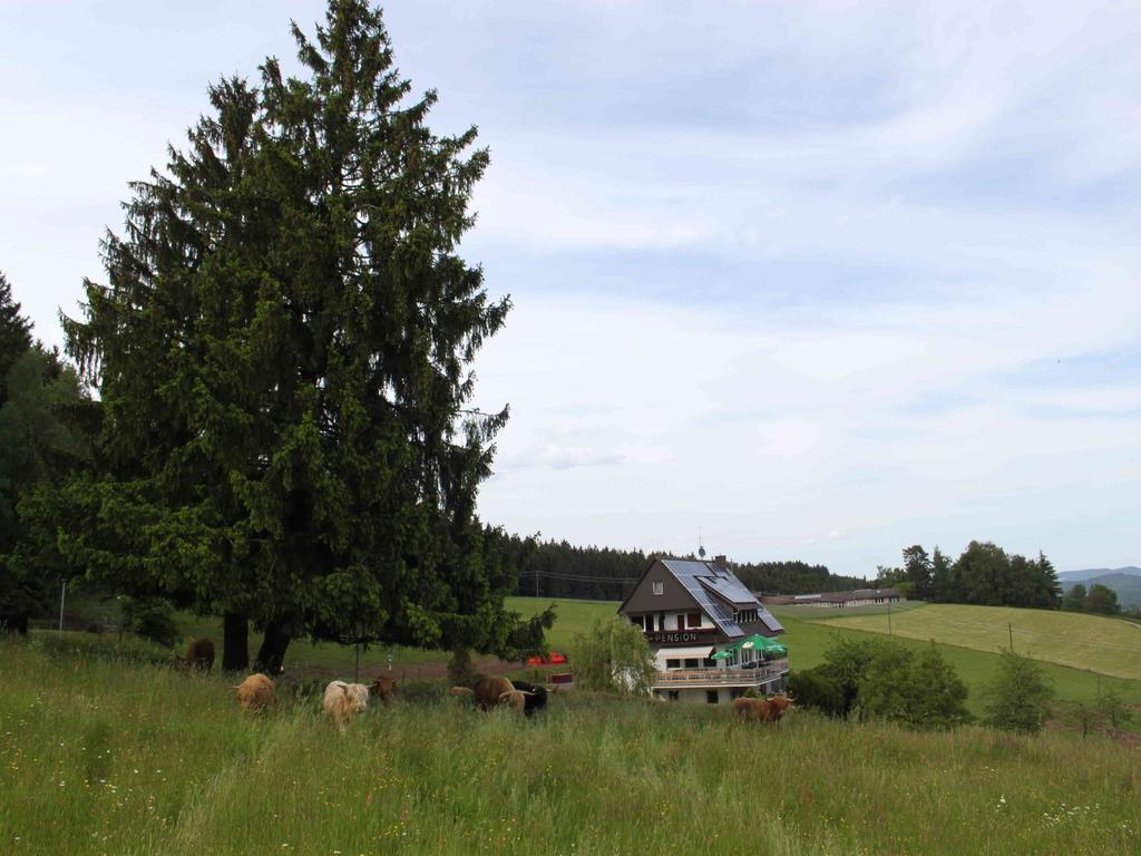 Cafe Pfaus Heidburg Hotell Mühlenbach Exteriör bild