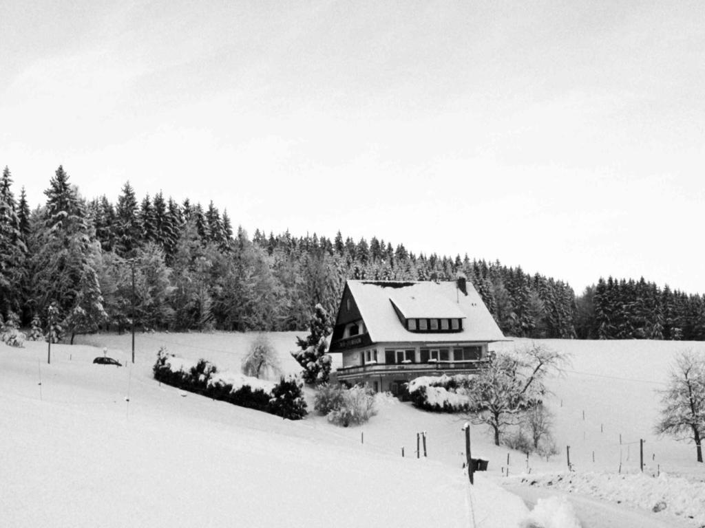 Cafe Pfaus Heidburg Hotell Mühlenbach Exteriör bild